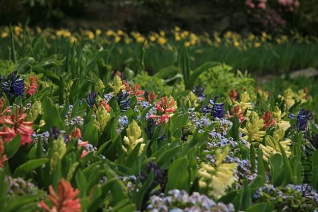 British Florists3.jpg