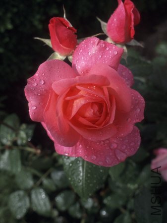 abbr_69bd98467ef2b218d302b9970f93dc2e.jpg