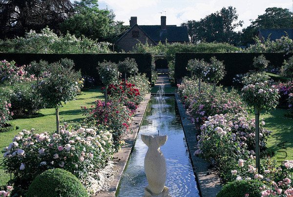 david_austin_rose_gardens_600x.jpg