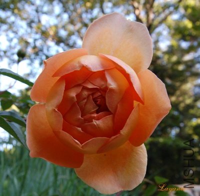 dsc_0023_2.jpg