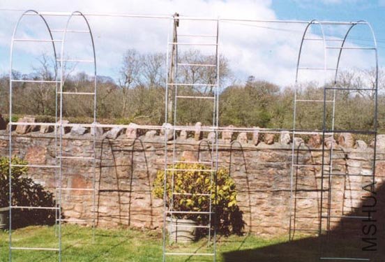 GF722T ENGLISH ROSE TUNNEL  3 ARCHES TRIMMED.jpg