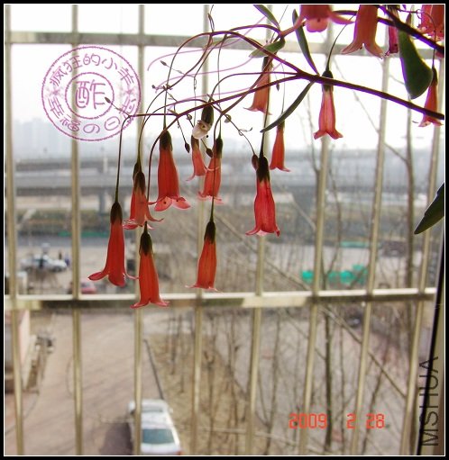 DSC00789.jpg