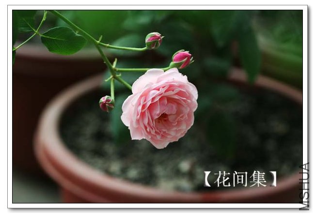 IMG_5455 ����.jpg