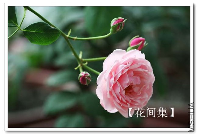 IMG_5457 ����.jpg