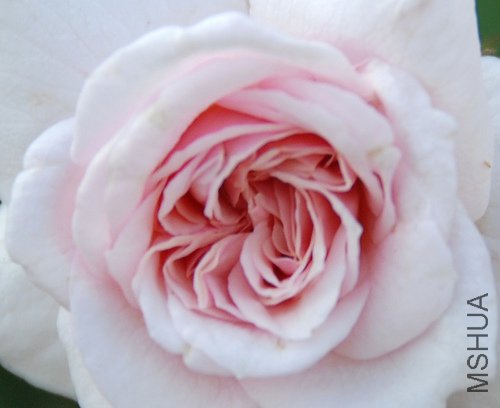 137690448_c060124fa3.jpg