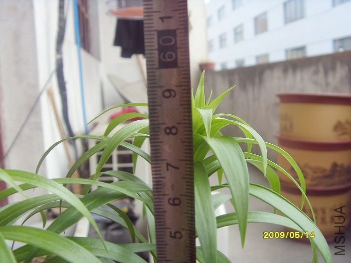 SDC10662.JPG