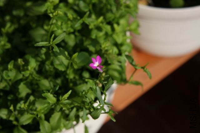 ������С ��Ƭ 176.jpg