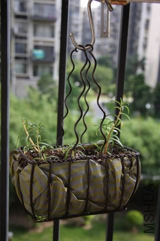 ������С ��Ƭ 183.jpg