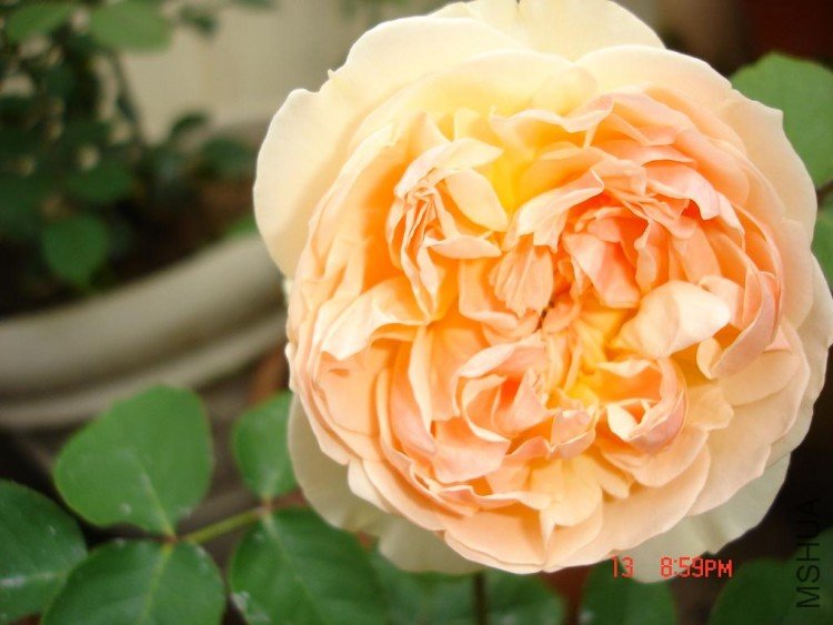 ��Ƭ09514 001.jpg