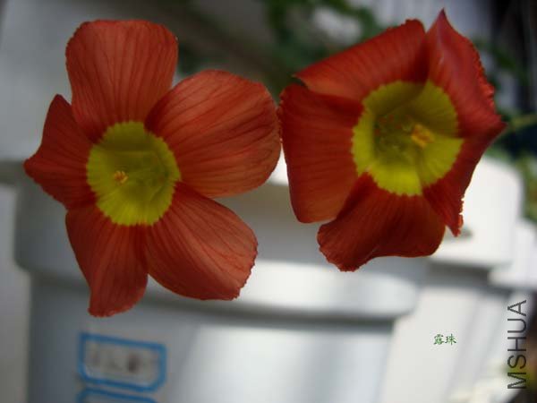 DSC07775.jpg