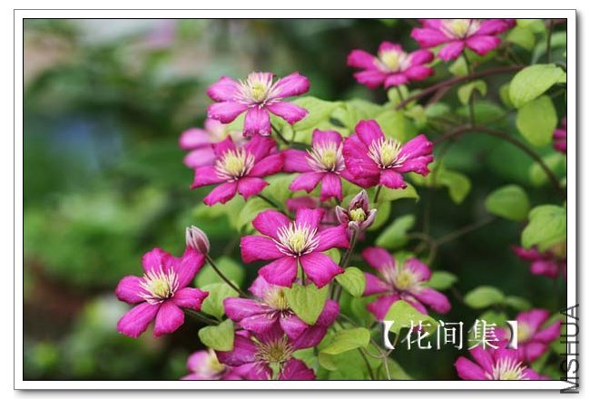 IMG_5667 ����.jpg