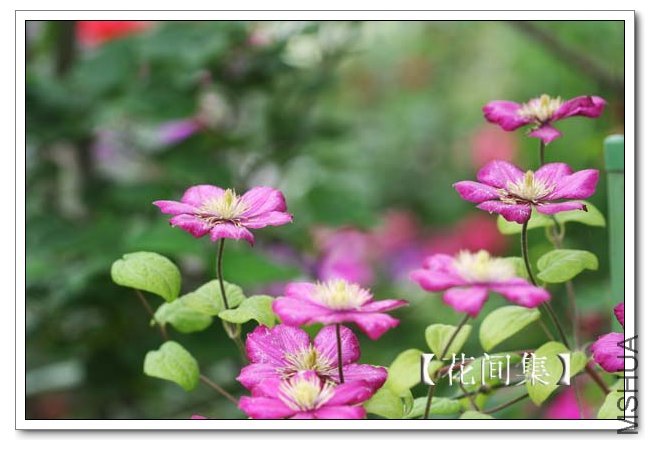 IMG_5670 ����.jpg