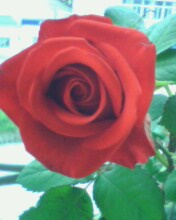 IMG0048A.jpg