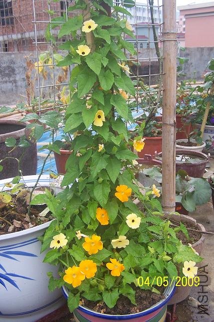 ��Ƭ 088.jpg