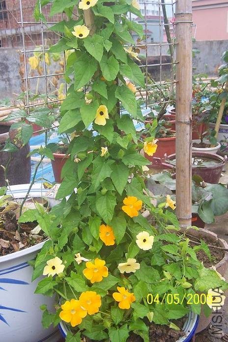 ��Ƭ 087.jpg