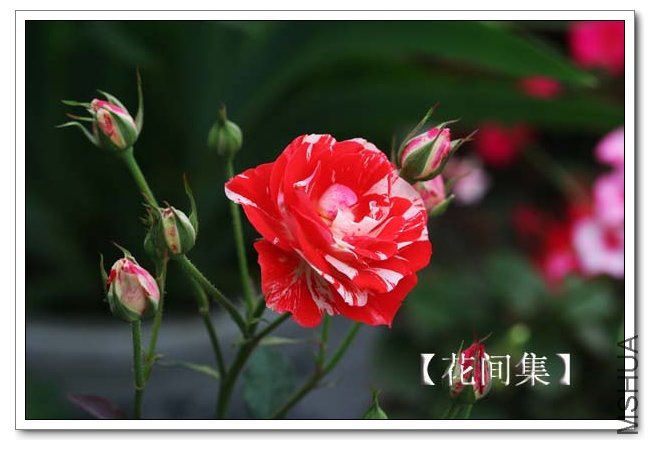 IMG_5622 ����.jpg