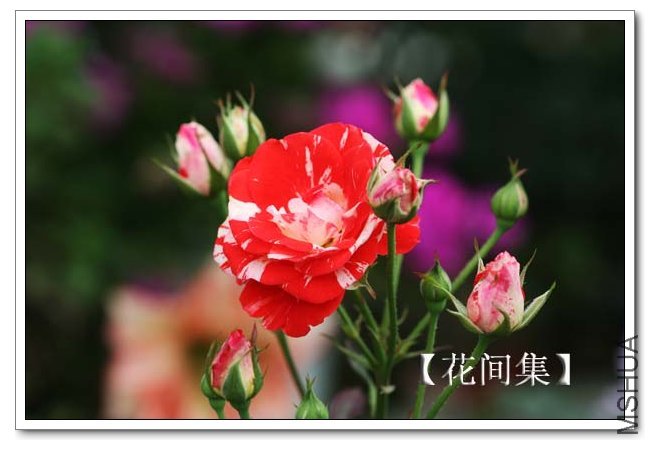 IMG_5684 ����.jpg