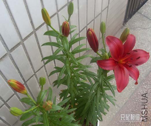 SDC14689 ����.jpg