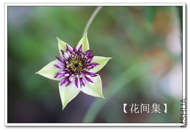 IMG_9143 ����.jpg