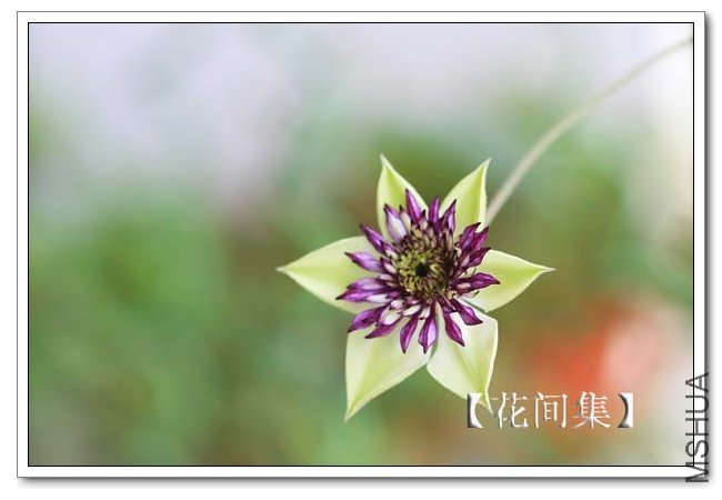 IMG_9139 ����.jpg