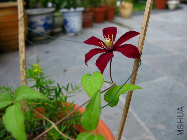 ����� (3).jpg