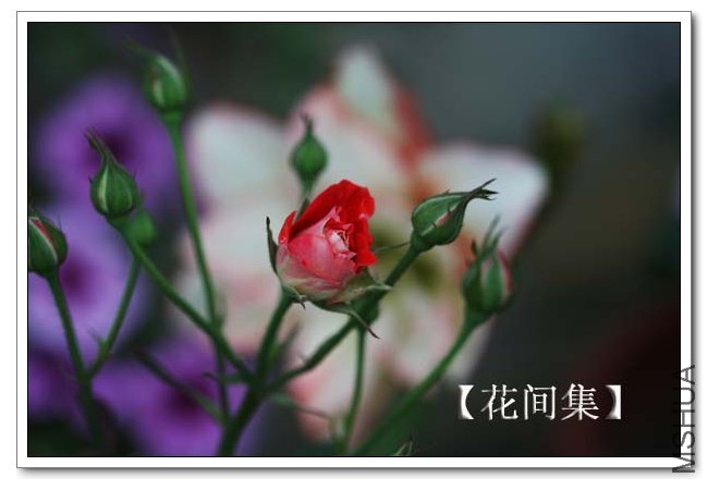 IMG_5486 ����.jpg