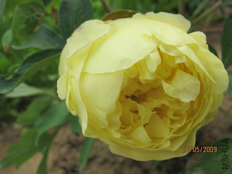 ��Ƭ 041.jpg