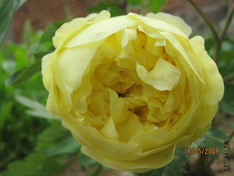 ��Ƭ 042.jpg