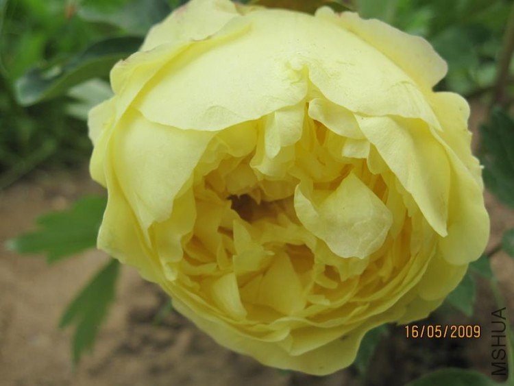 ��Ƭ 040.jpg