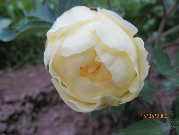 ��Ƭ 008.jpg