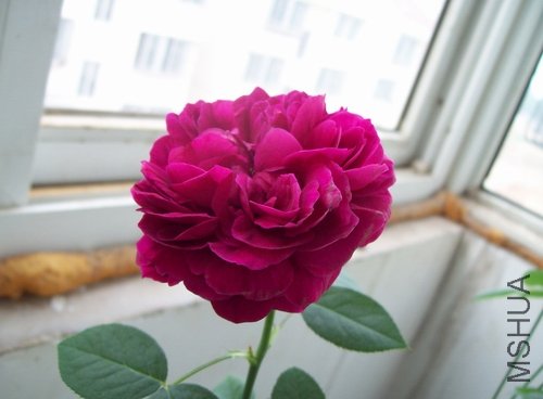 100_1303.jpg