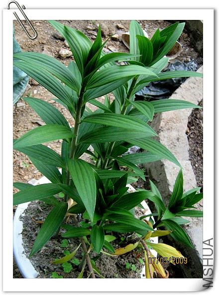 ���п�������������������ѿ���ٴο���......