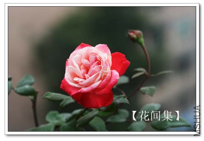 IMG_5653 ����.jpg