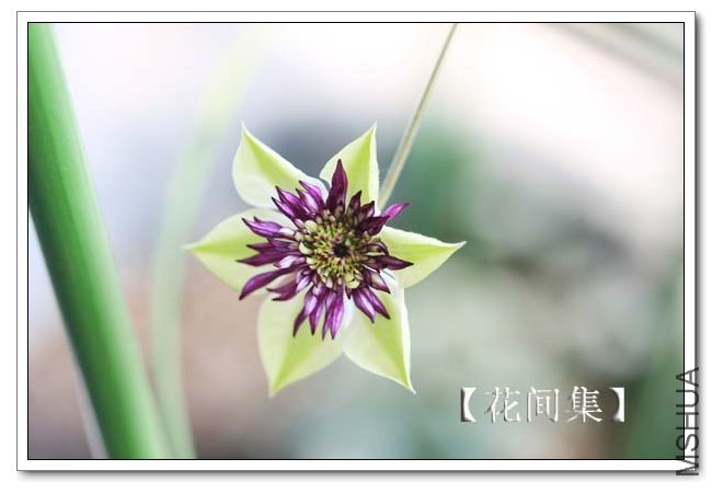 IMG_9135 ����.jpg