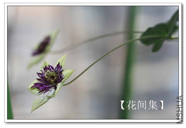 IMG_9149 ����.jpg