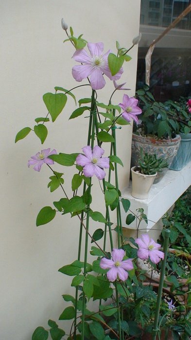 ��һ�Ƕȿ�����