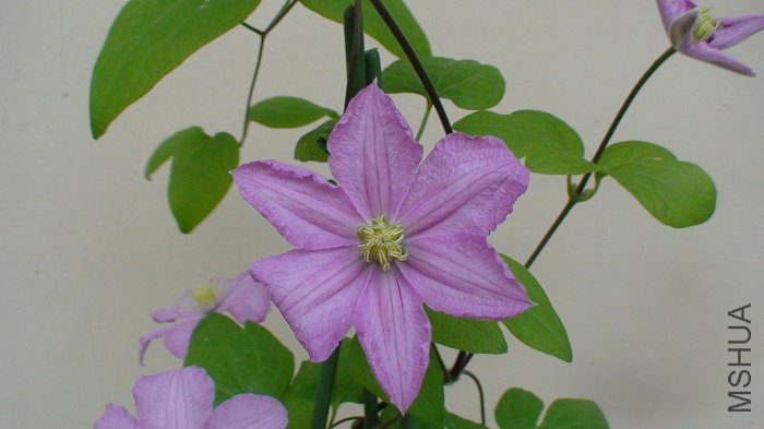 ��ʵ���������˸տ���ʱ���������ġ�