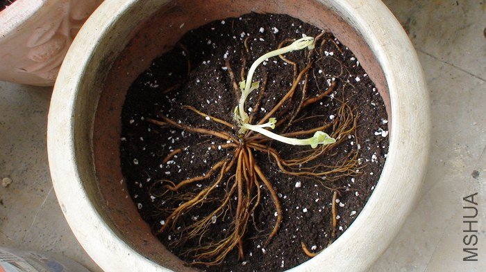 ��������ʱ�����ӡ�