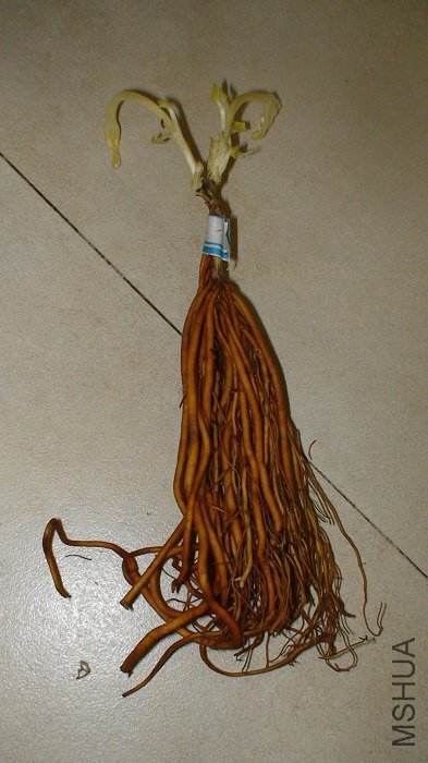 4-14�գ��յ�ʱ�ĸ�ϵ��������ĸ�ϵ���Ǿ��˰���̫������