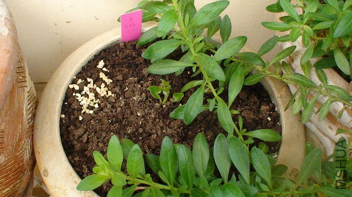 4-15�գ����µڶ���ѿ�ͱ����ˡ�