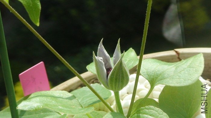 ����¼һ�¿����Ĺ��̣����ǵ�һ�š�