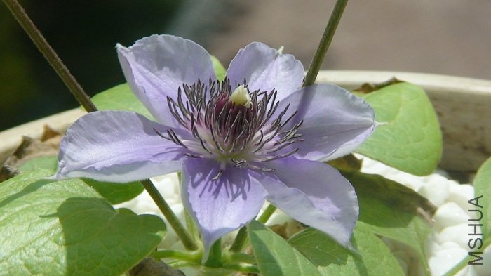 5-9�գ����µ�25�죬���ǿ�������ʱ�������ѳ��״򿪵����ӡ�