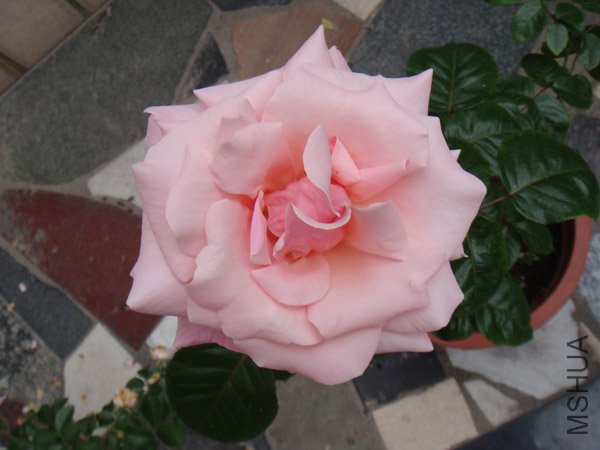 DSC02940.JPG