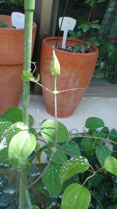 5-9�գ������ĵĻ��������ˡ�