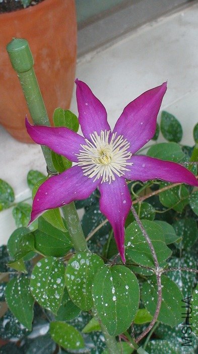 5-14�յĻ���