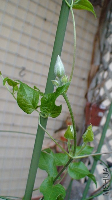 5-4�գ������˻�������