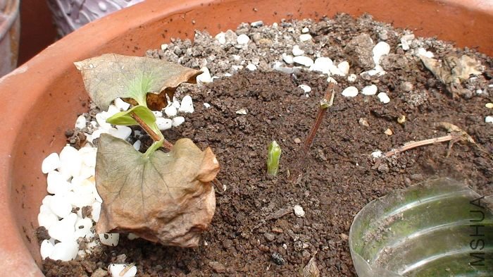 4-5�գ����ڴ����������һ����׳��ѿͷ����