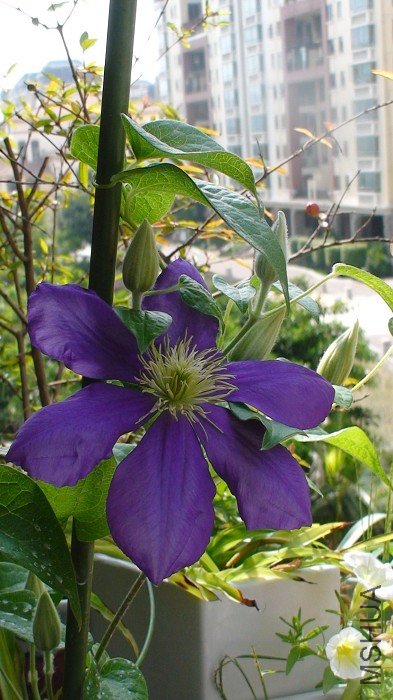 5-14�գ�������������������������Ҫ��Щ�������𣬻���6���󻨰��أ�