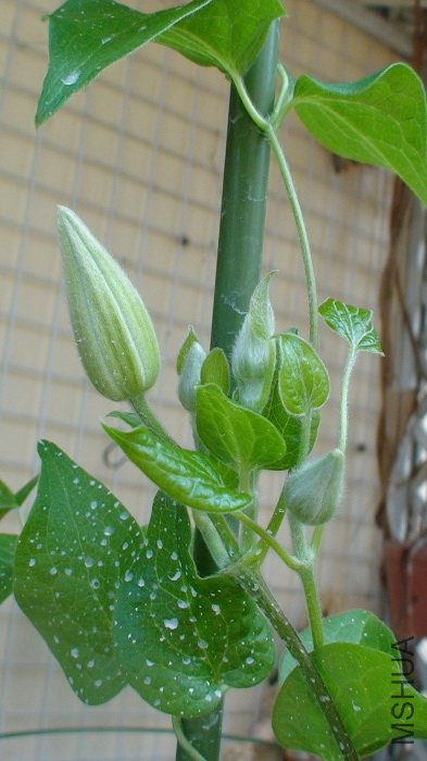 5-9�գ���������