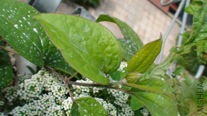 5-11�գ����������Ļ�����ʼ����